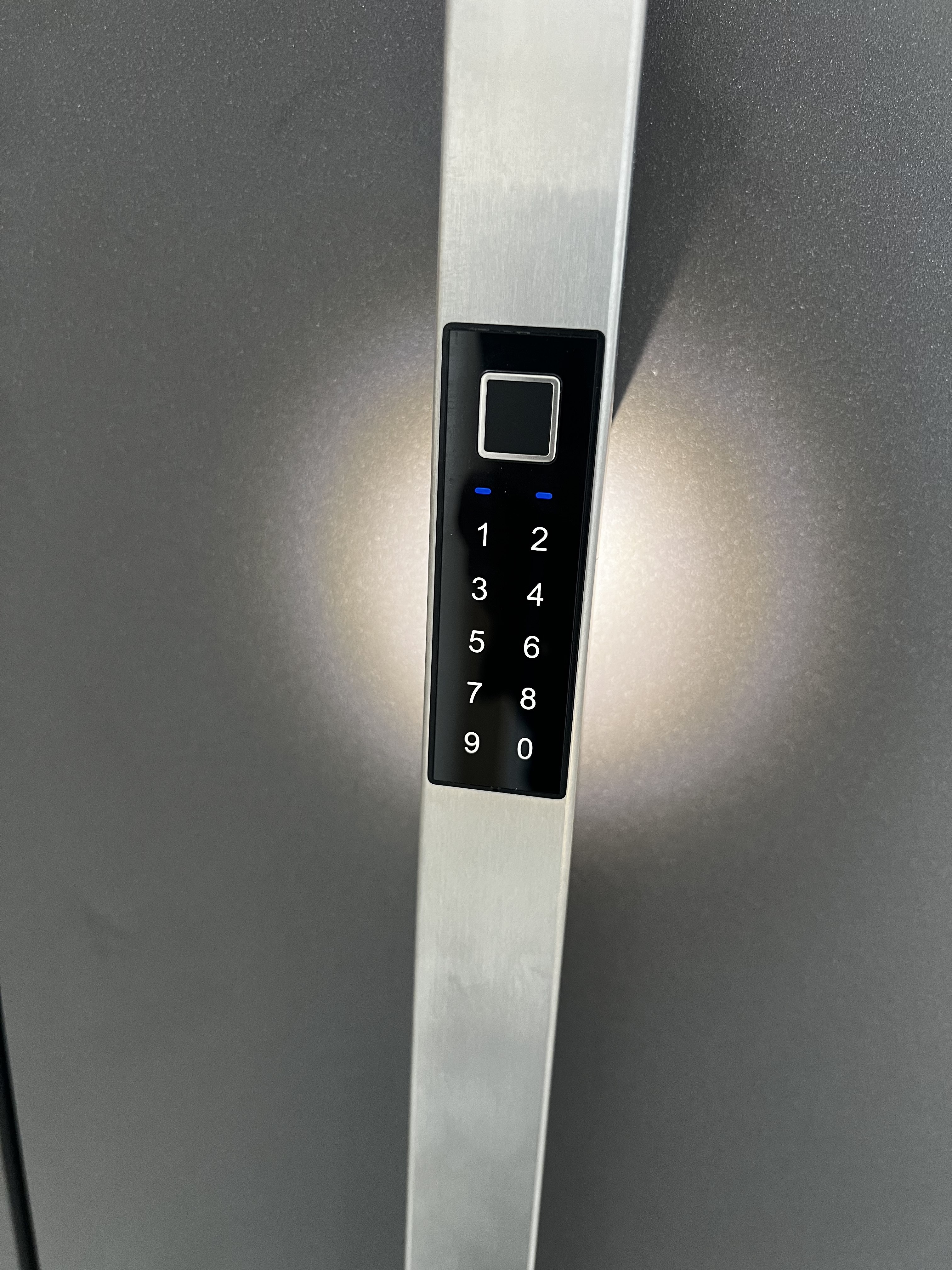 Panel kontroli dostępu zintegrowany z metalowym pochwytem